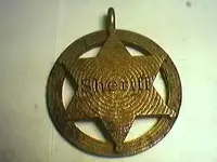 sheriff badge.webp