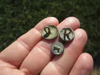 early buttons.webp