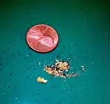 ImageUploadedByTreasureNet.com1440892579.285591.webp