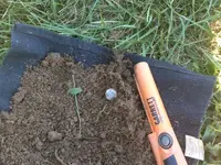 In the Hole - Small.webp