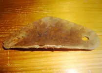 DSC04892.webp