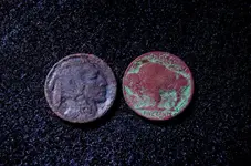 Oct2015Finds-1687.webp