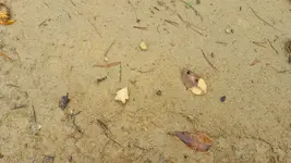 20151004_125721.webp