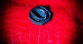 10-18-15MetalDetectingFinds-1663.webp