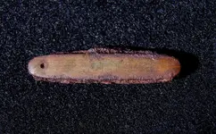 10-23-15MDFinds-1674.webp