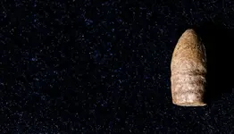 10-23-15MDFinds-1676.webp