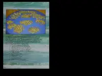 W2 Cover B.webp