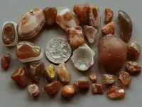 Agates-2015-10-FB-Img_8958SSS.webp