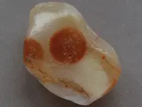 Agate-Spooky-2015-10-Img_8981SSS.webp