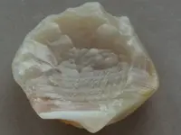 Agate-GrayBot-Img_8976SSS.webp