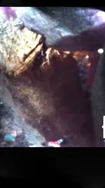 ScreenshotB_2015-10-29-20-04-47.webp