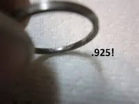 8th trip to the site 006.webp
