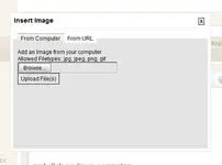 Utitled.webp