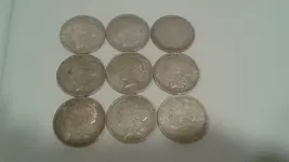 Morgans 10-24-15.webp