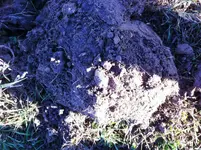 photo 1.webp