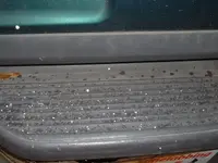 DSCF0004.webp