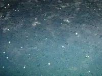 DSCF0006.webp
