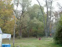 DSCF0008.webp