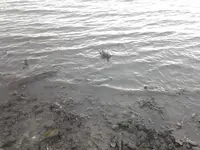 20151108_160358.webp