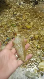 FB_IMG_1447010036532.webp FB_IMG_1447010036532.webp