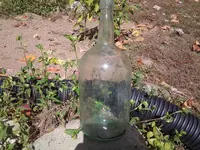 20151018_132137.webp