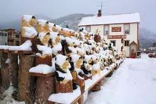 11-17c.webp