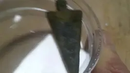 1445719433075.webp