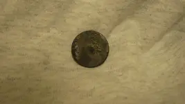 Night Hunt, Rings, Medallion & Flat Button...Nov. 8, 2015 003.webp