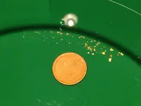 ImageUploadedByTreasureNet.com1447029503.882533.webp