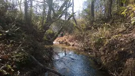 WP_20151126_003.webp WP_20151126_003.webp