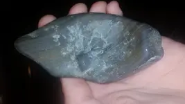 1447803194064.webp