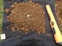 In The Hole - Small.webp