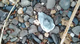 IMAG0226.webp