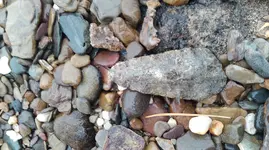 IMAG0228.webp