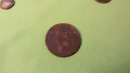 1445725547364.webp