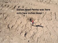 Two Indian head pennies 002.JPG