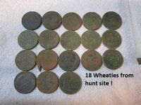 Two Indian head pennies 002.JPG