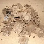 aslatf1108.webp