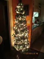 IMG_0550.webp IMG_0550.webp