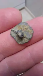 pewter backside.webp