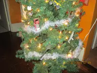IMG_0557.webp IMG_0557.webp