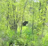 IMG_1469.webp IMG_1469.webp