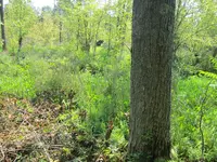 IMG_1469.webp IMG_1469.webp