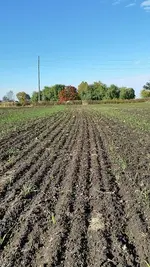 20151011_101656_resized_1.webp