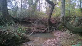 WP_20151031_002.webp