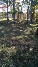 1445214407972.webp