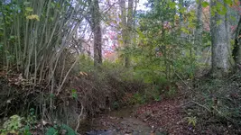 WP_20151031_001.webp
