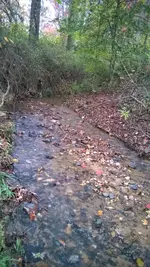 WP_20151031_003.webp