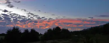 DSCN9471.webp