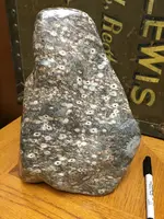 rock.webp